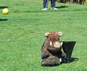 Mallorca Turnier- und Einsteigerwoche Golf and Travel AG